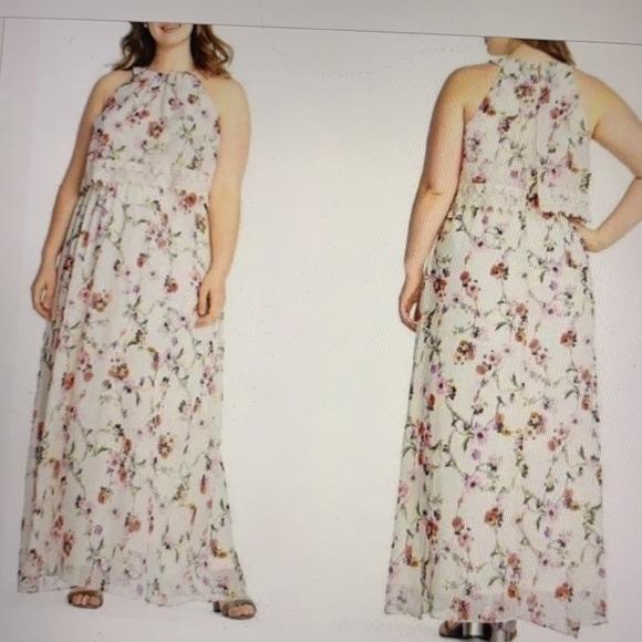 Adrianna Papell Bonita Floral Maxi Dress 22W - Picture 1 of 13